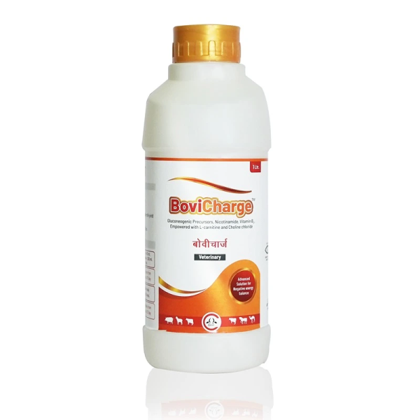 BoviCharge-Image