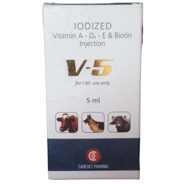 V-5 Injection-Image