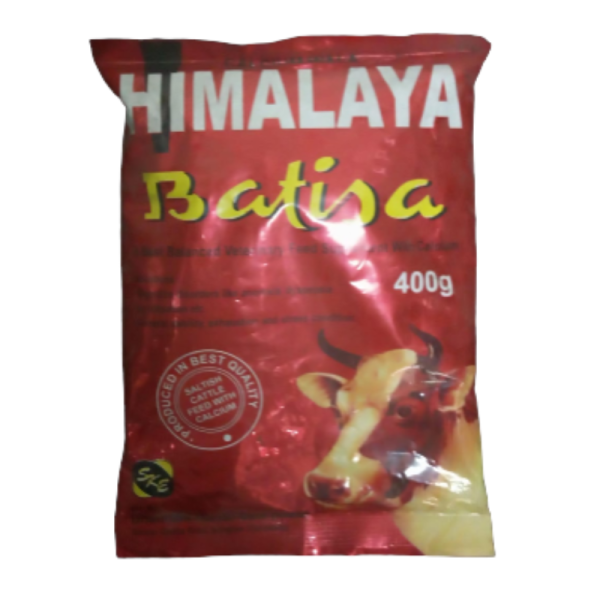 Himalayan Batisa-Image