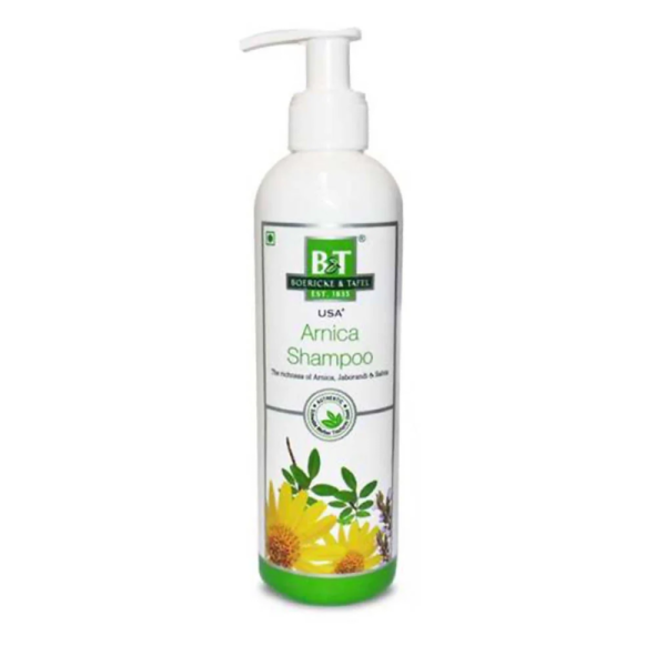 B & T Arnica Shampoo - Dr Willmar Schwabe