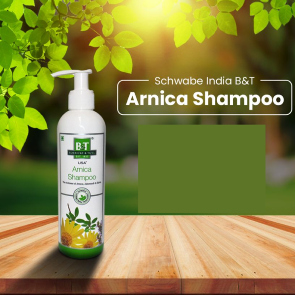 B & T Arnica Shampoo - Dr Willmar Schwabe