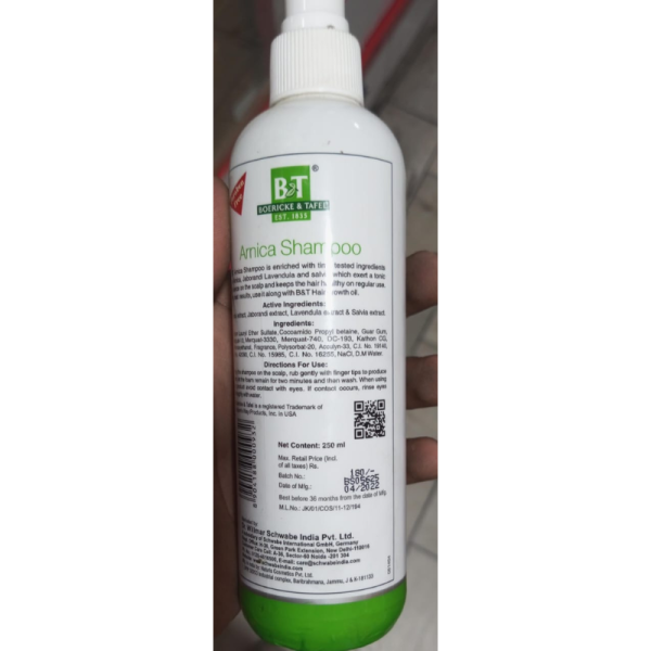 B & T Arnica Shampoo - Dr Willmar Schwabe