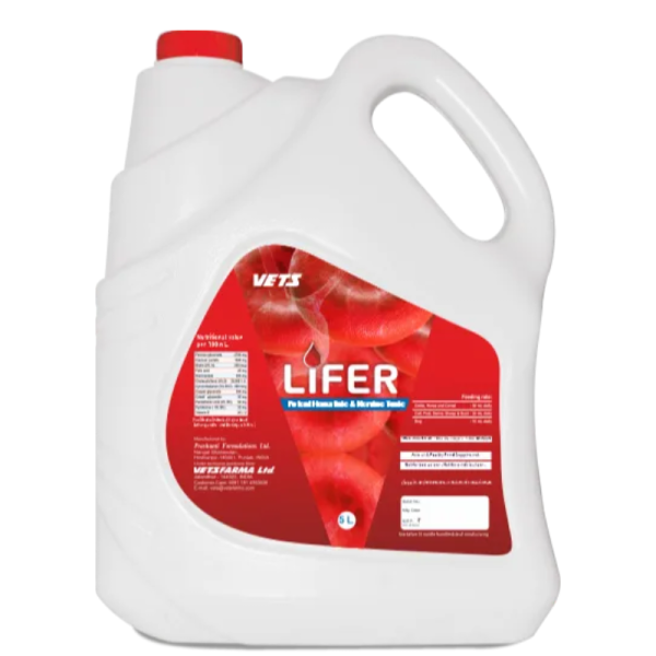 Lifer-Image