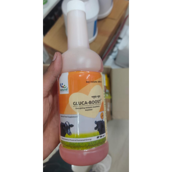 Gluca Boost - Natural Remedies Pvt.Ltd