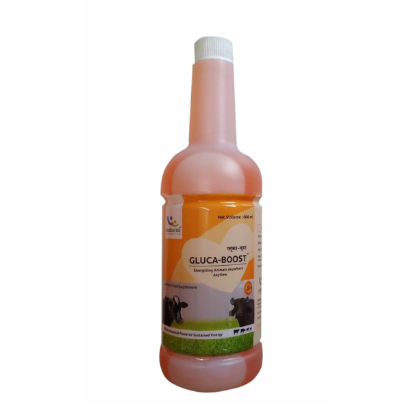 Gluca Boost - Natural Remedies Pvt.Ltd