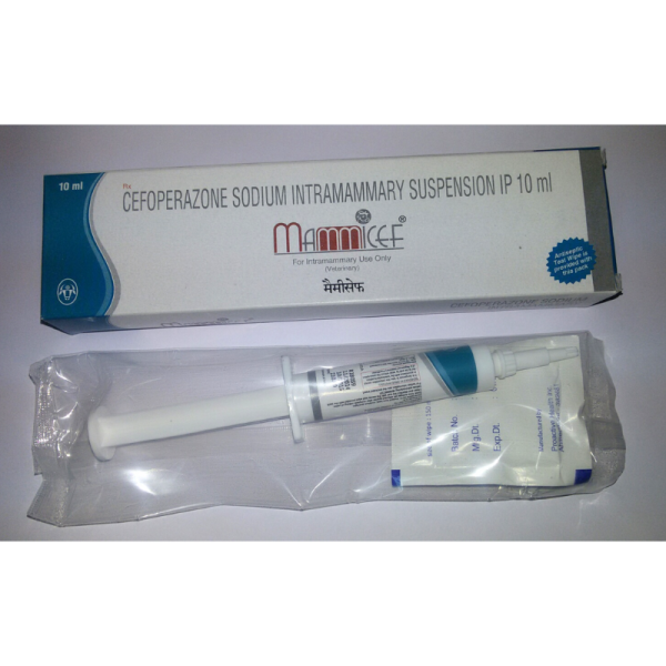 Mammicef-Image