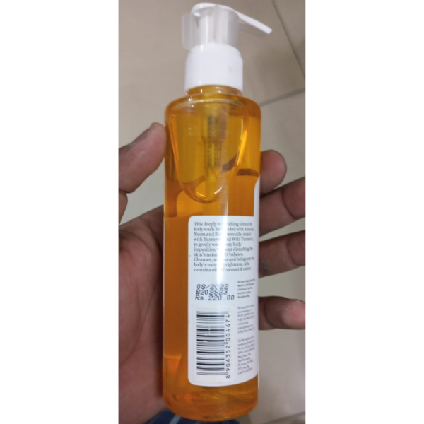 Body Wash - Biotique
