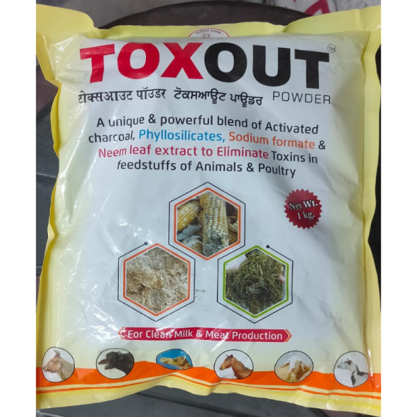 Toxout Powder - Animax Pharma