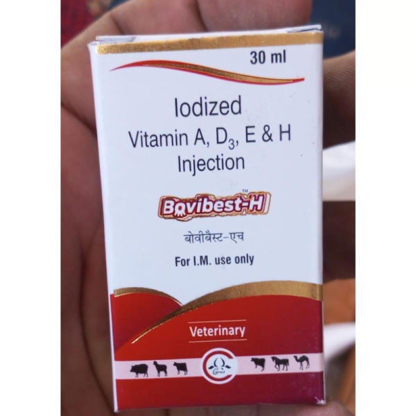 Bovibest-H Injection - Carus Laboratories Pvt. Ltd