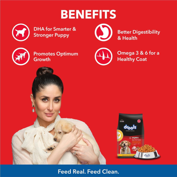 Dry Dog Food - Drools