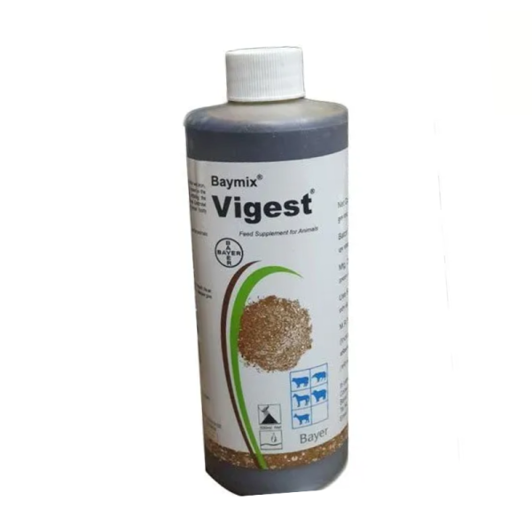 Baymix Vigest-Image