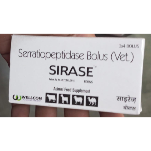 Sirase Bolus - Wellcon Animal Health