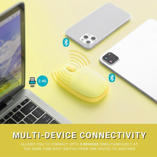 Wireless Mouse - Rapoo