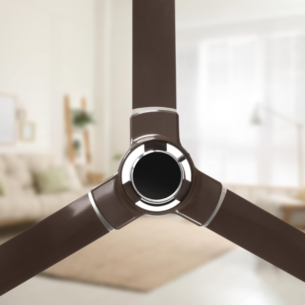 Ceiling Fan - RR Signature