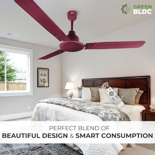 Ceiling Fan - RR Signature