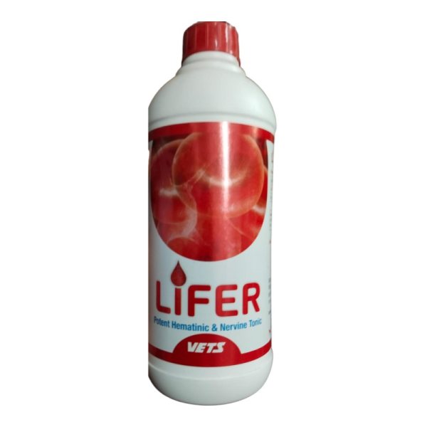 Lifer-Image