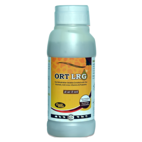 ORT LRG-Image