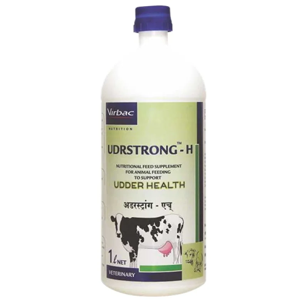 Udrstrong- H-Image