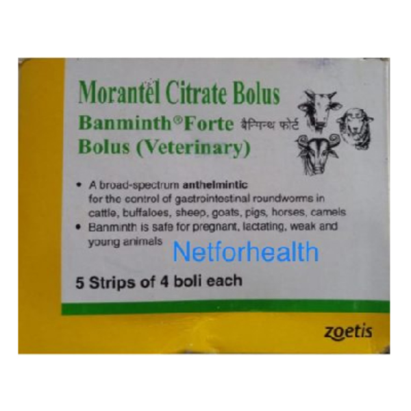 Banminth Forte Bolus - Zoetis