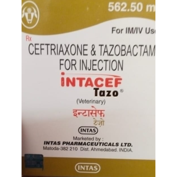 Intacef Tazo-Image