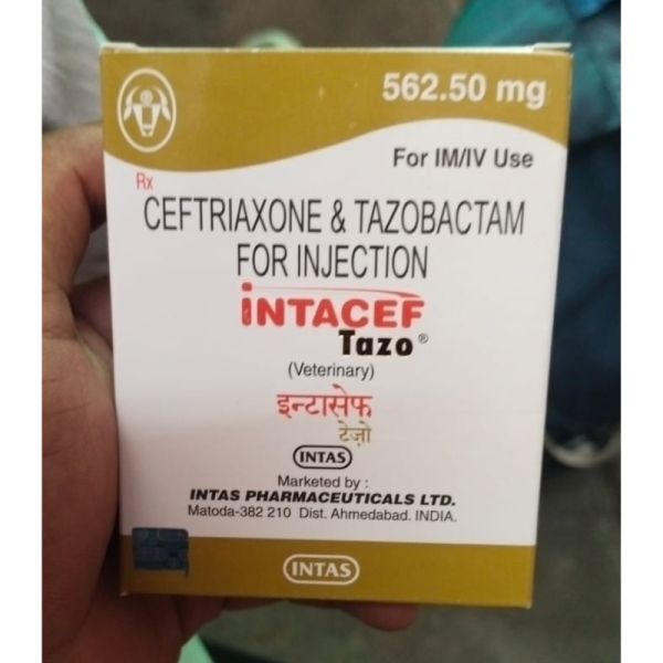 Intacef Tazo - Intas Pharmaceuticals Ltd