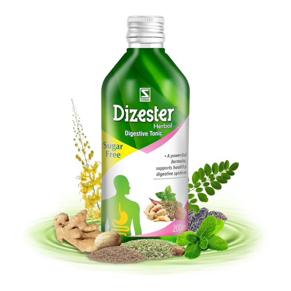 Dizester Herbal Tonic - Dr Willmar Schwabe