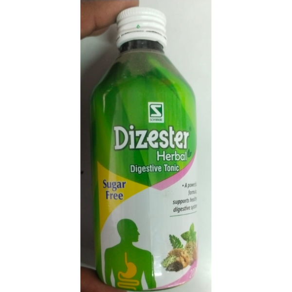 Dizester Herbal Tonic - Dr Willmar Schwabe