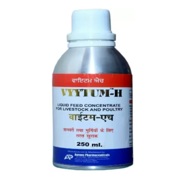Vitum-H-Image