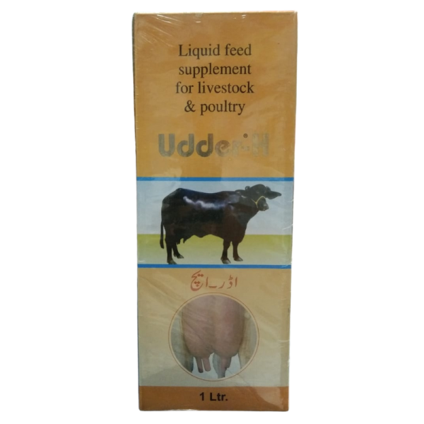 Udder-H-Image
