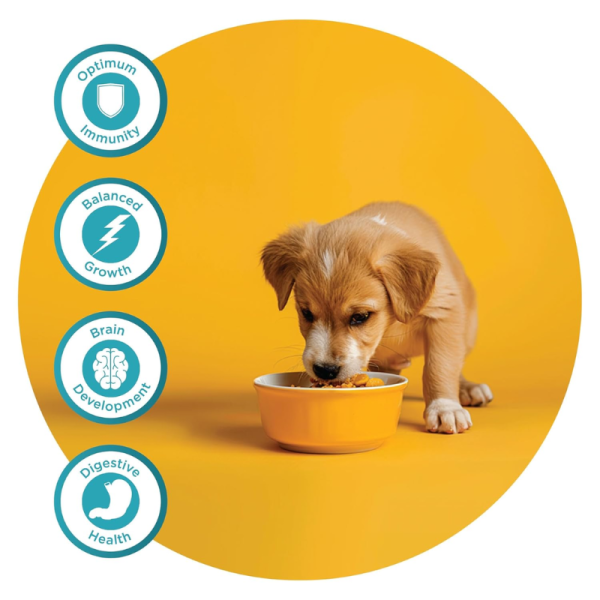 Dog Food - Fidele