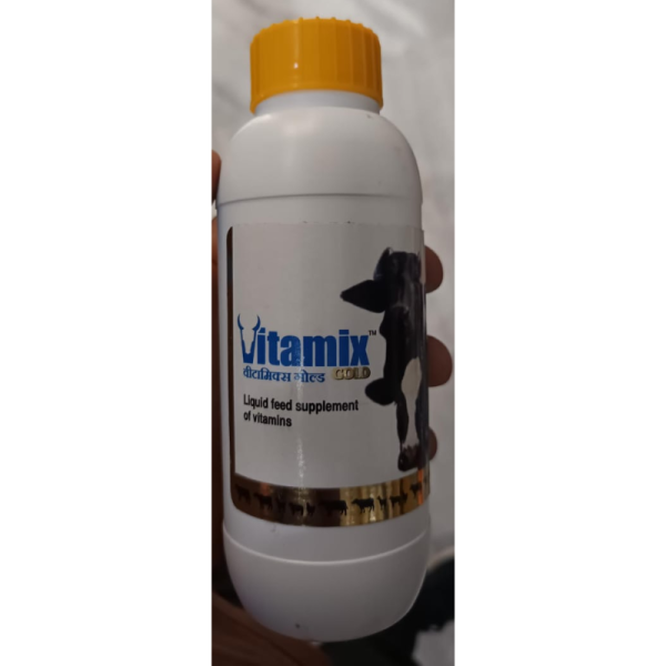 Vitamix Gold - Zenex AH