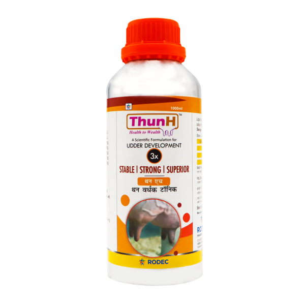 Thun H-Image