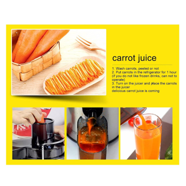 Juicer - Usha