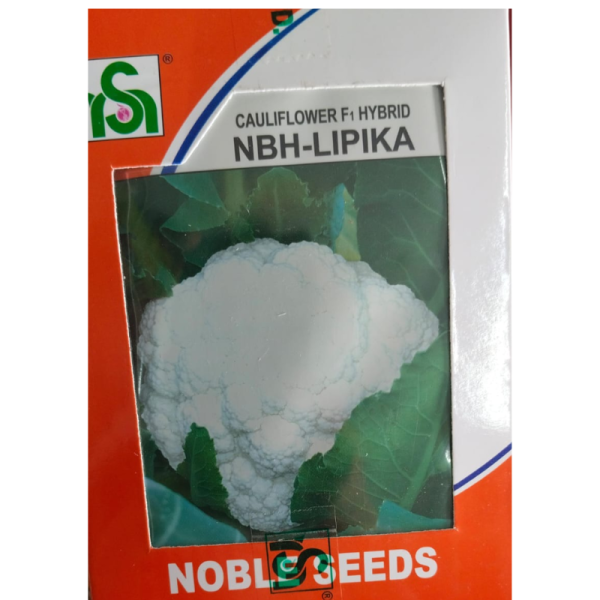 Cauliflower F1 Hybrid Seeds - Noble Seeds