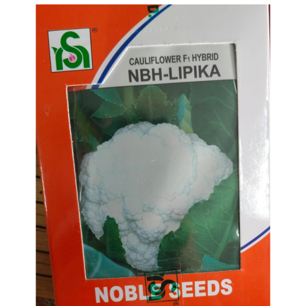 Cauliflower F1 Hybrid Seeds - Noble Seeds