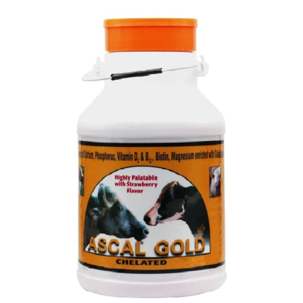 Ascal Gold - Alembic