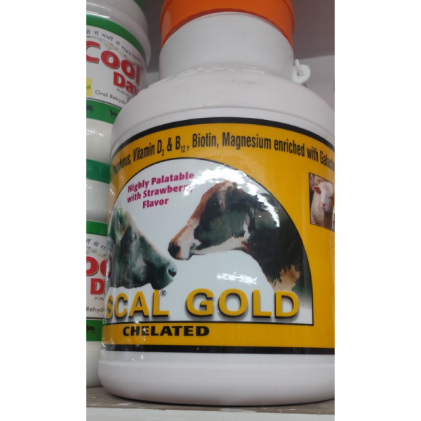 Ascal Gold - Alembic