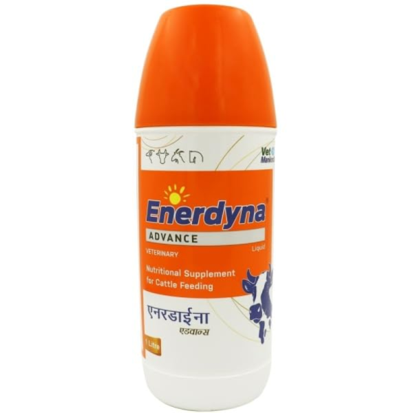 Enerdyna Advance-Image