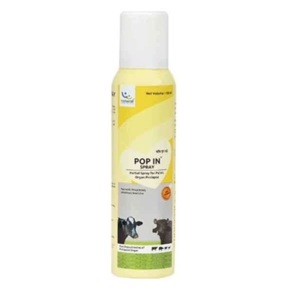 Pop In Spray-Image