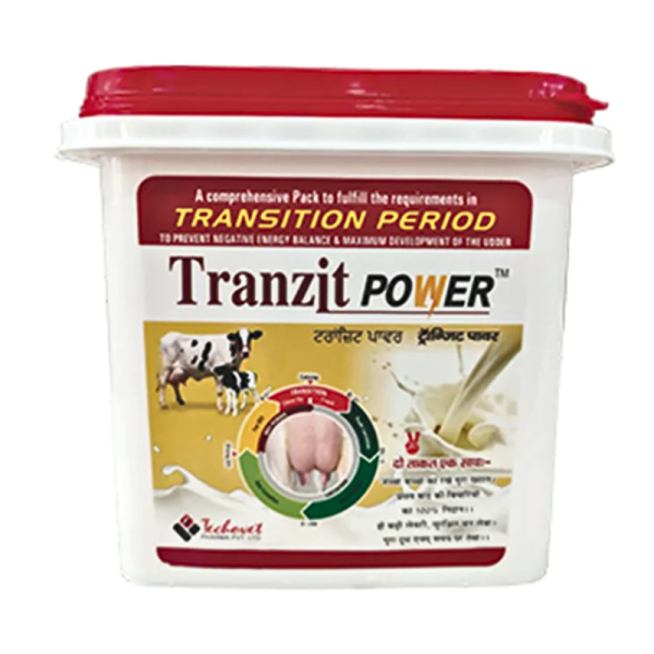 Tranzit Power-Image