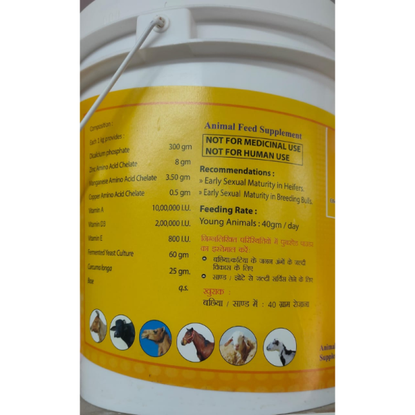 Puberaid Powder - Animax Health Care