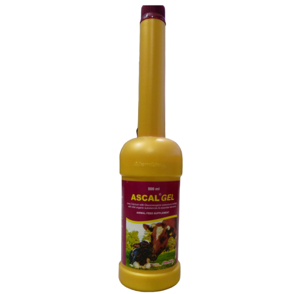 Ascal Gel-Image