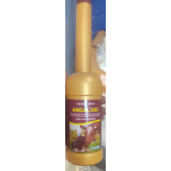 Ascal Gel - Alembic