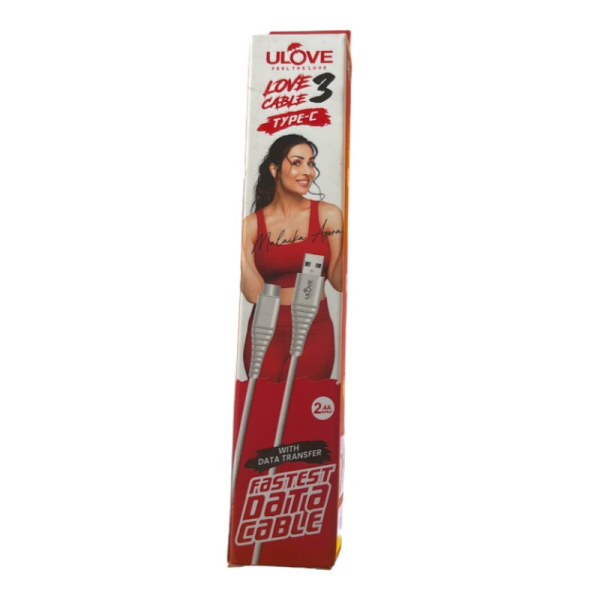 Type C USB Cable-Image