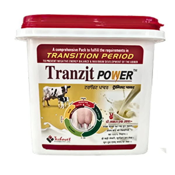 Tranzit Power-Image