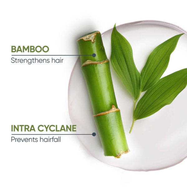 Conditioner - Matrix