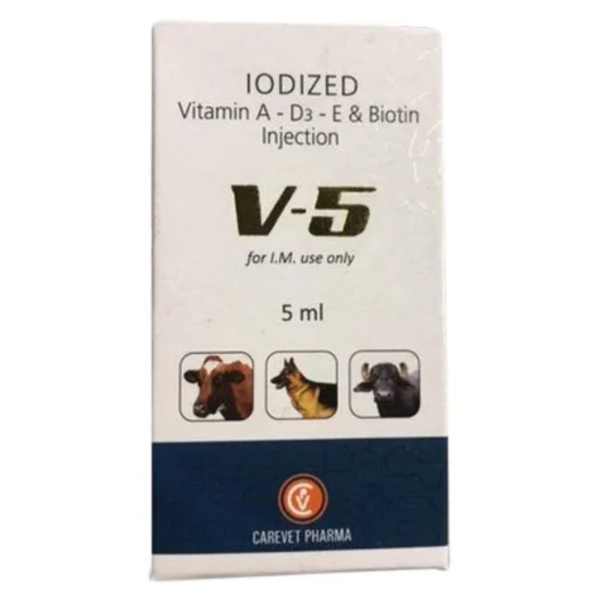 V-5 Injection-Image
