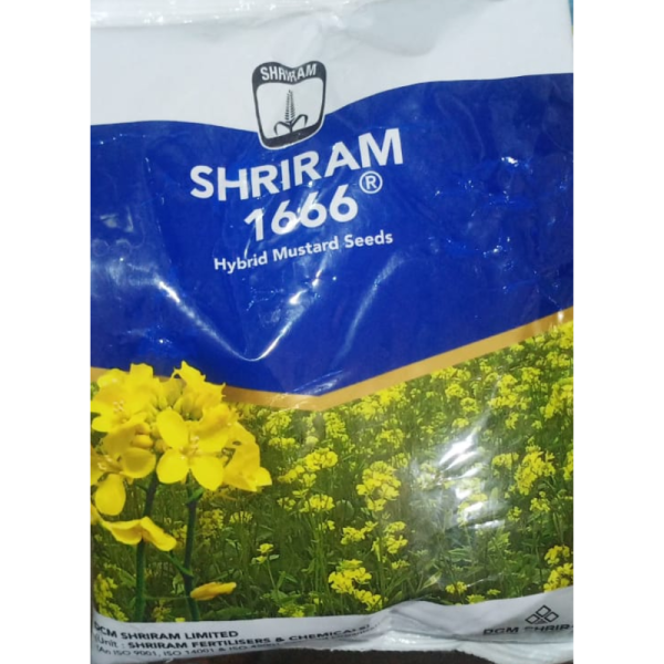 Mustard Seed - Shriram Seeds