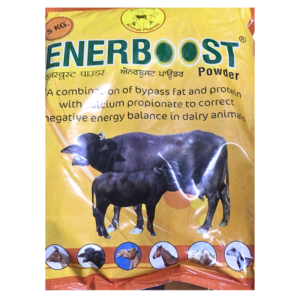 Enerboost-Image