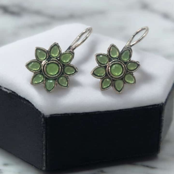 Earrings-Image